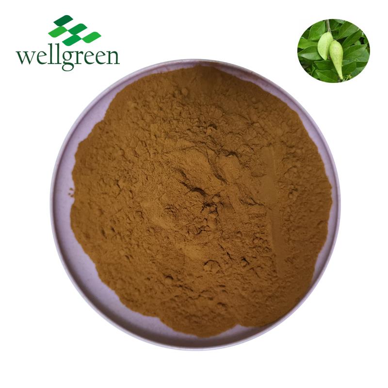 product-604-579 gymnema sylvestre 01