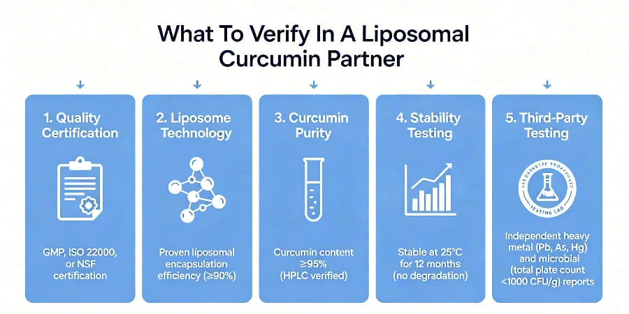 What To Verify In A Liposomal Curcumin Partner What To Verify In A Liposomal Curcumin Partner