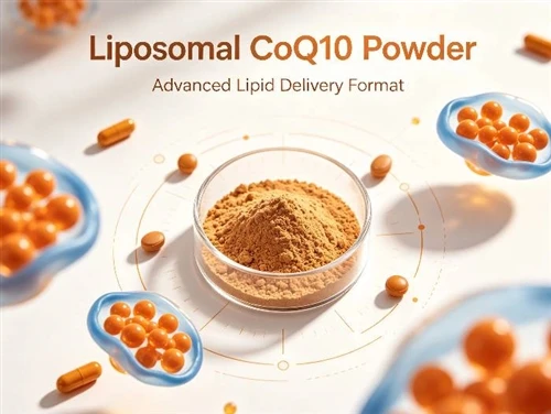 लिपोसोमल CoQ10 स्थिरता, शेल्फ जीवन और नियामक अनुपालन समझाया गया